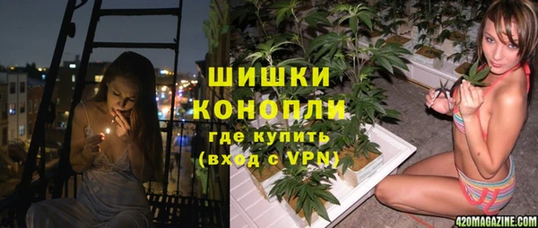 трава Аркадак