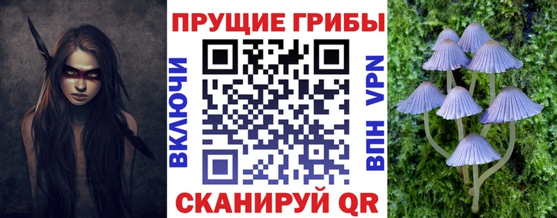 Псилоцибиновые грибы Psilocybine cubensis  Вязьма 